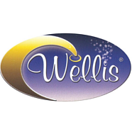 Wellis Spas