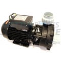 WP250 LX Spa Pump - 2.5hp 1 Speed (2"x 2")