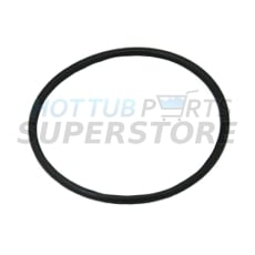 2.5" Pump Union O' Ring (Single)