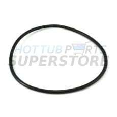 Waterway Filter Lid O'Ring