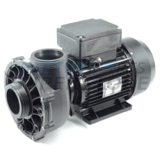 Waterway Viper 5hp 2 Speed Swim Spa Pump 2.5"x 2.5"