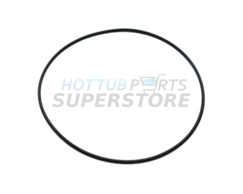 Face Plate O-Ring, Executive Waterway Pumps