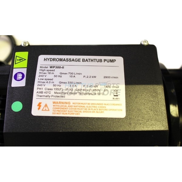 Chinese LX WP300II 3hp 2 Speed Hot Tub Pump Canadian Spa Parts